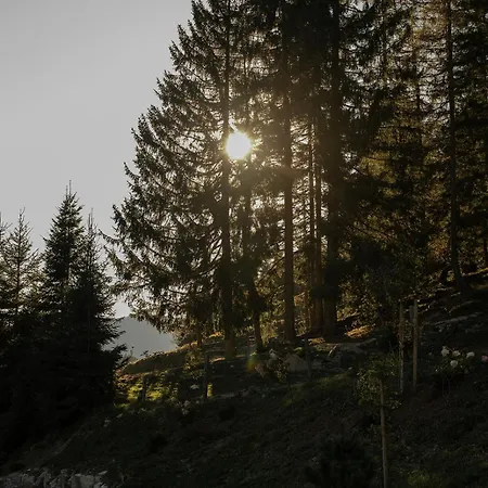 Mountain Hideway Birgkar Daire Mühlbach am Hochkönig