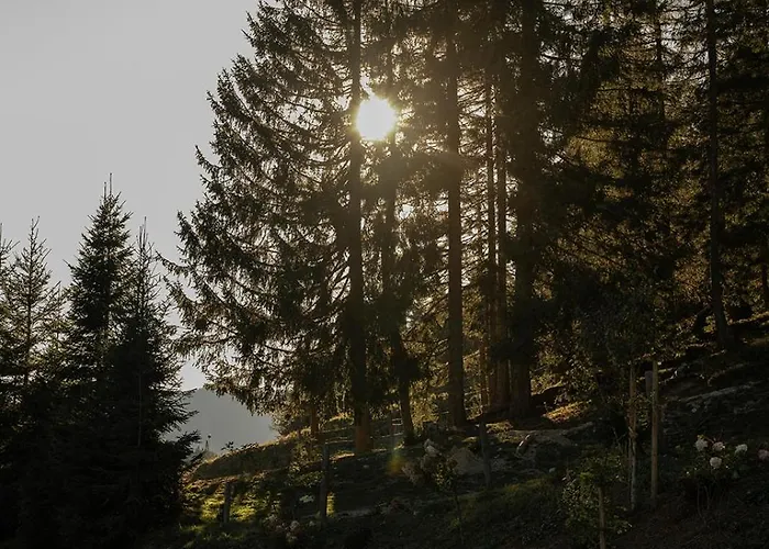 Mountain Hideway Birgkar 公寓 Mühlbach am Hochkönig